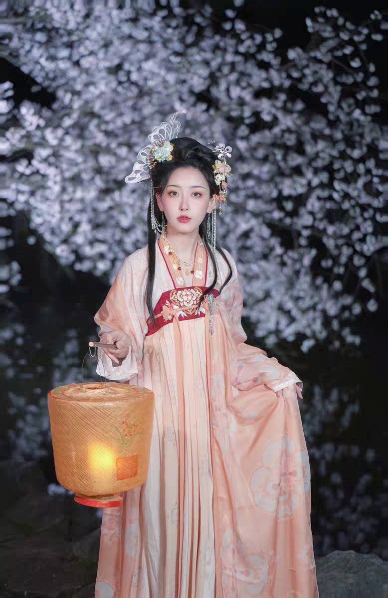 Robe HanFu de la dynastie Tang brodée de fleurs roses