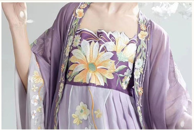 Robe Hanfu de la dynastie chinoise Tang | Brise printanière