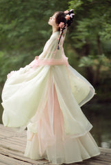 Pink Green traditional chinese dress, Floral Emboridered Tang Dynasty HanFu Dress