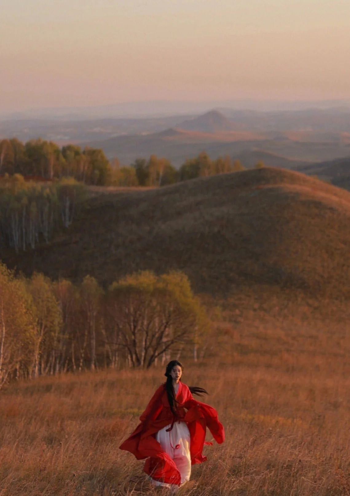 Red Wei-Jin dynasty  Flowing Chinese Hanfu Dress