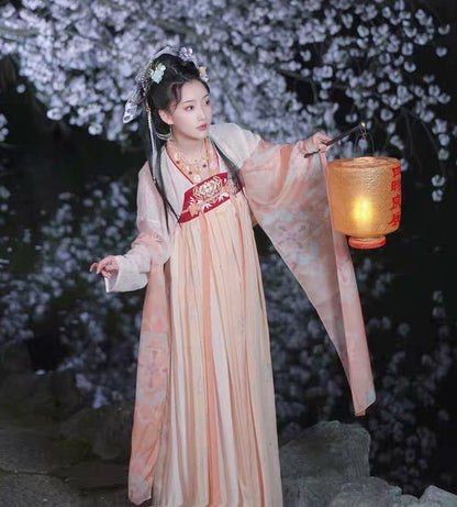 Robe HanFu de la dynastie Tang brodée de fleurs roses